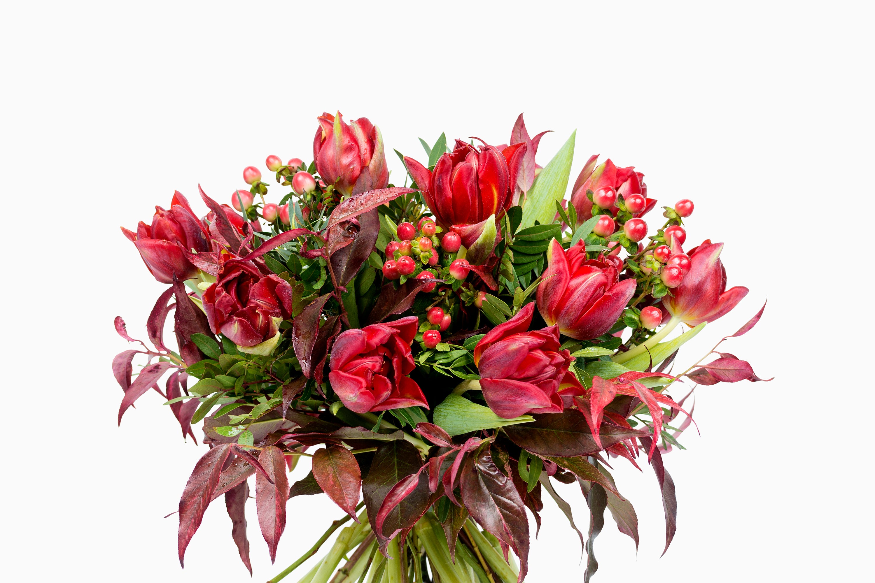 Bouquet De Tulipanes