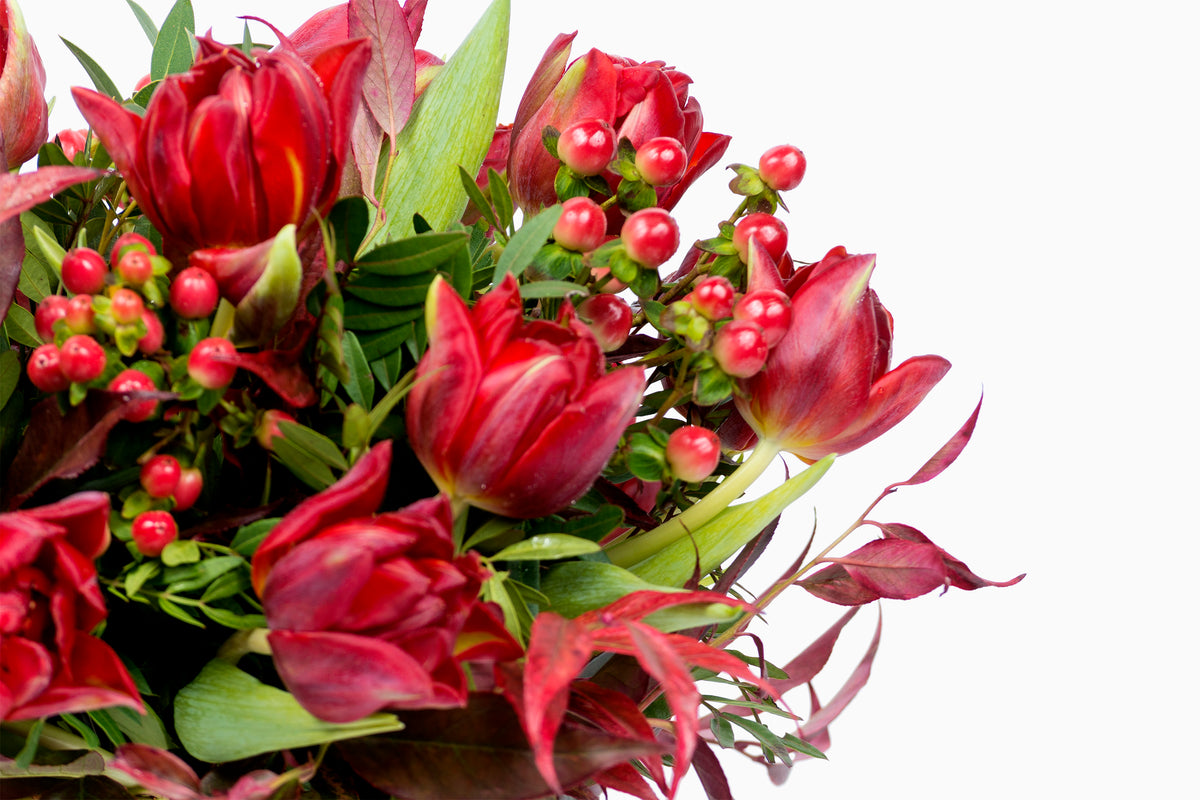 Bouquet De Tulipanes