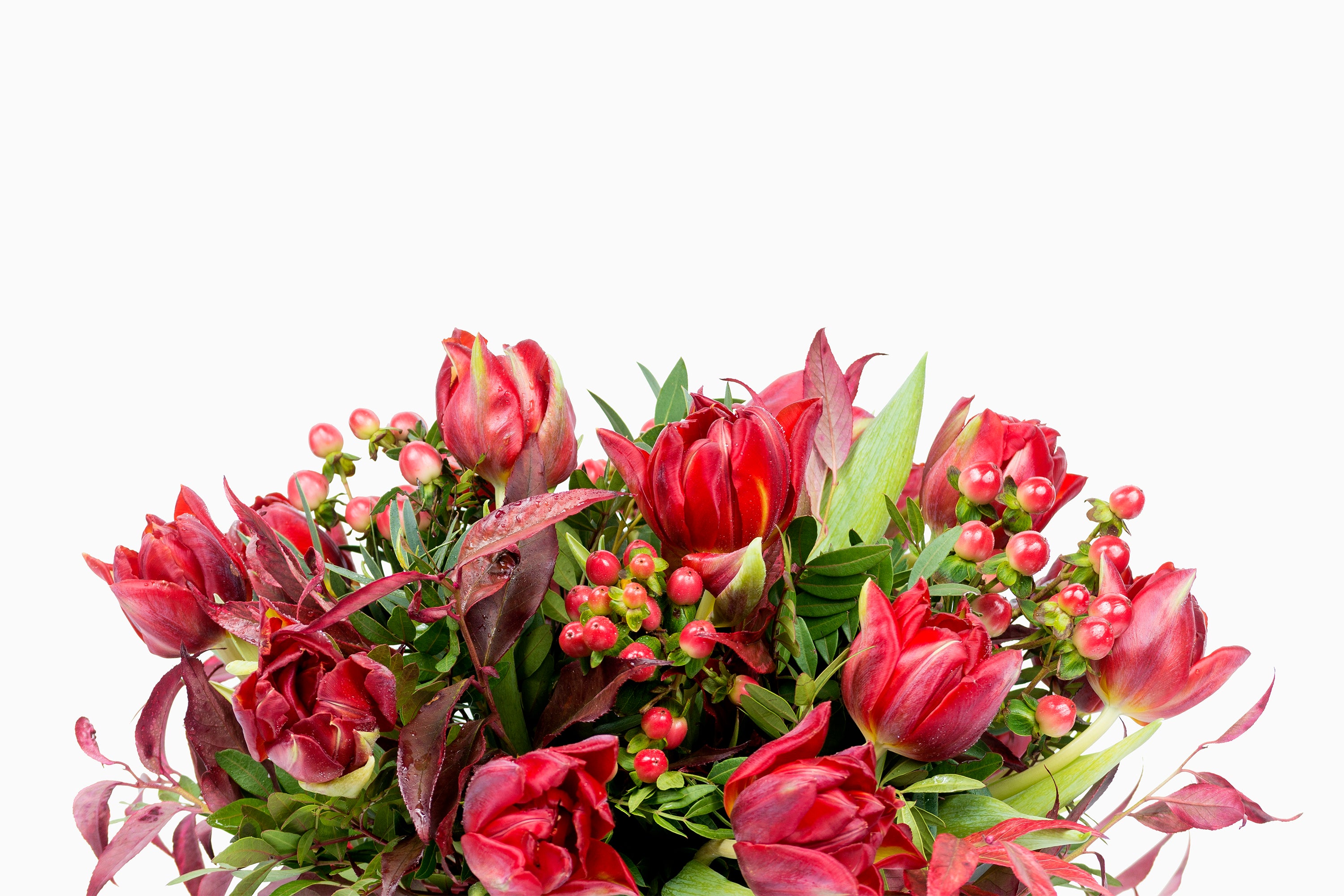 Bouquet De Tulipanes