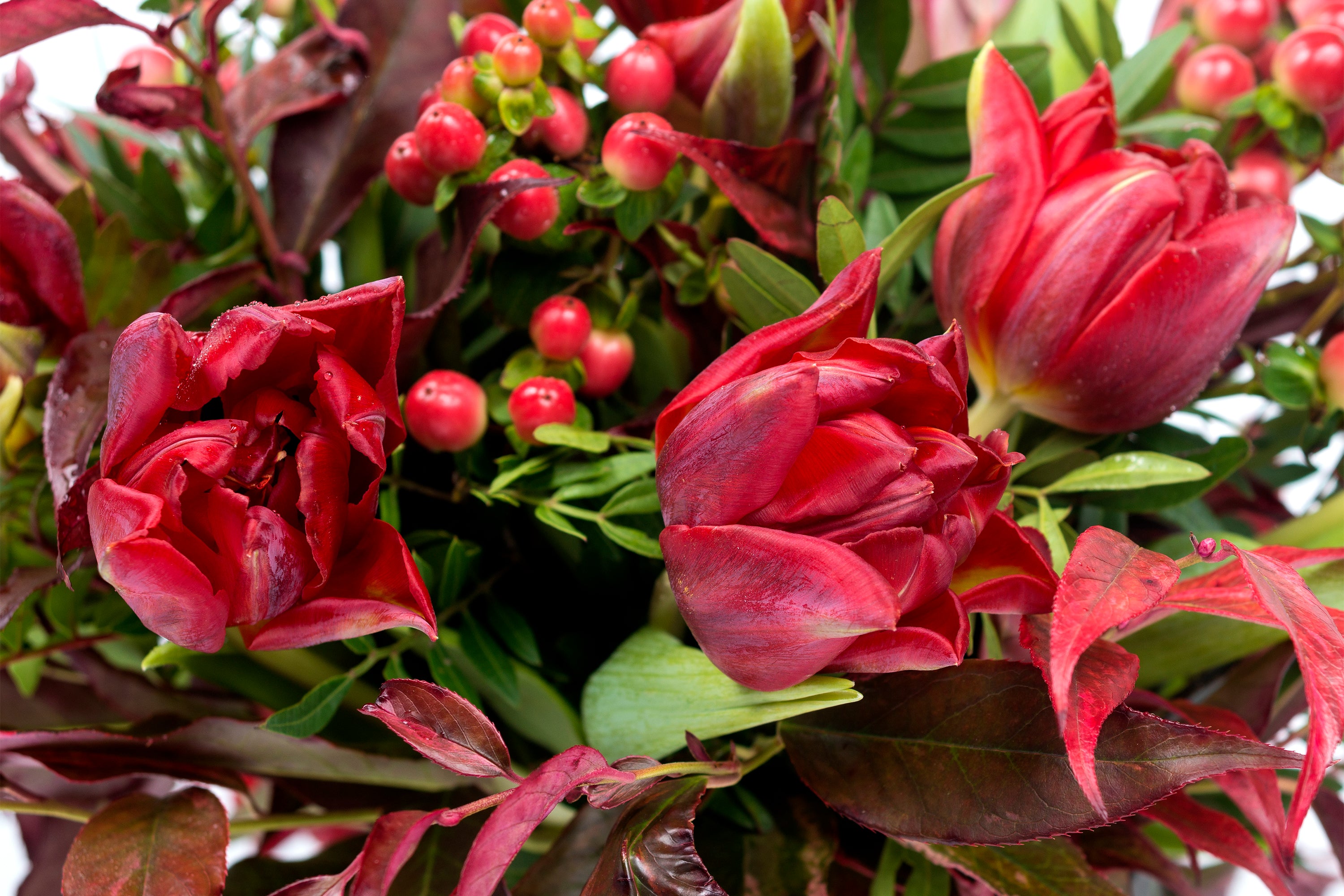 Bouquet De Tulipanes