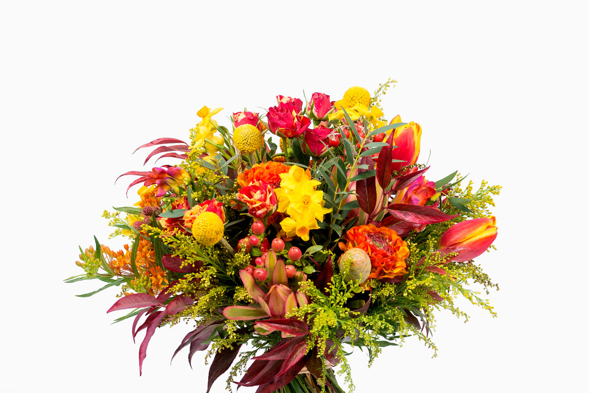 Bouquet Silvestre Cálido