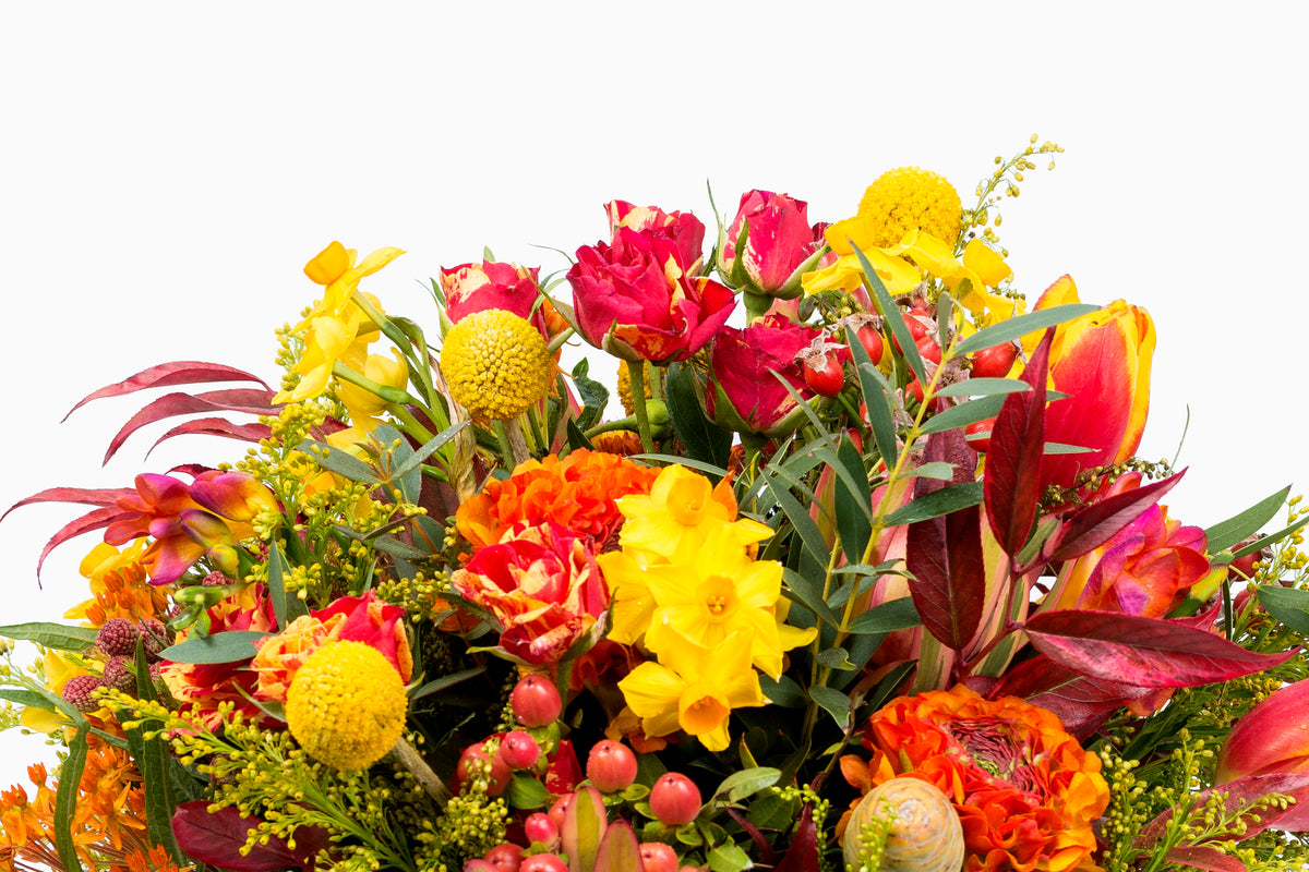 Bouquet Silvestre Cálido