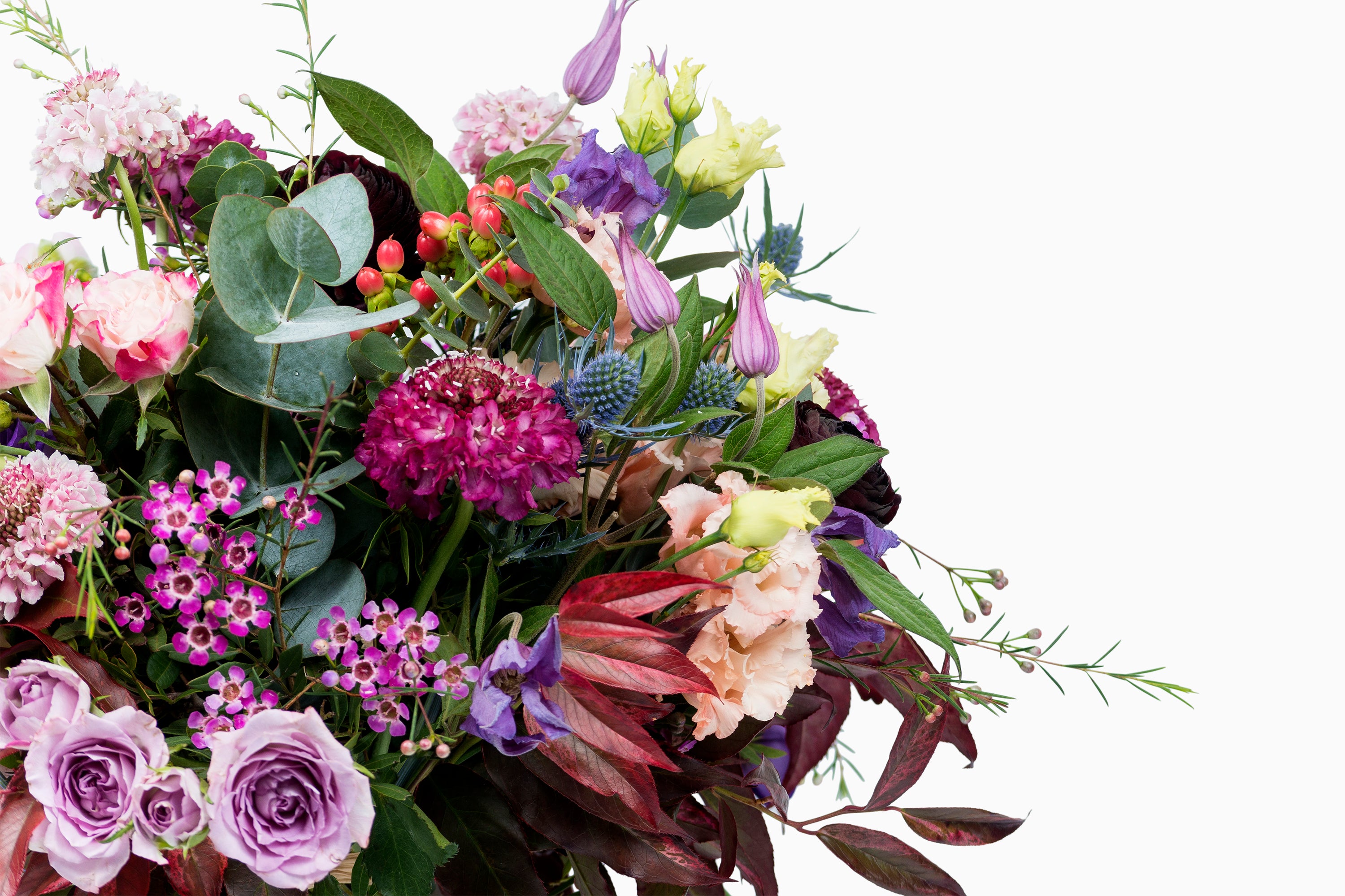Bouquet Silvestre Malva