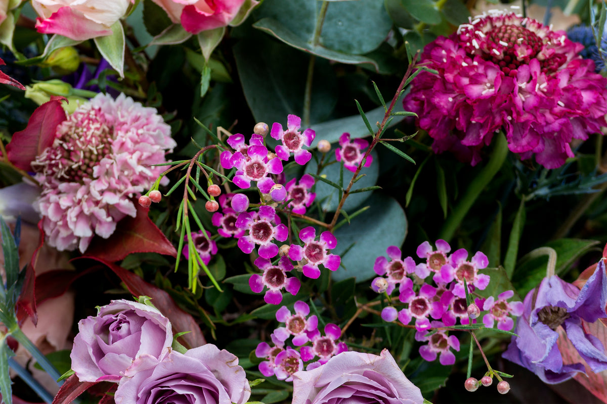 Bouquet Silvestre Malva