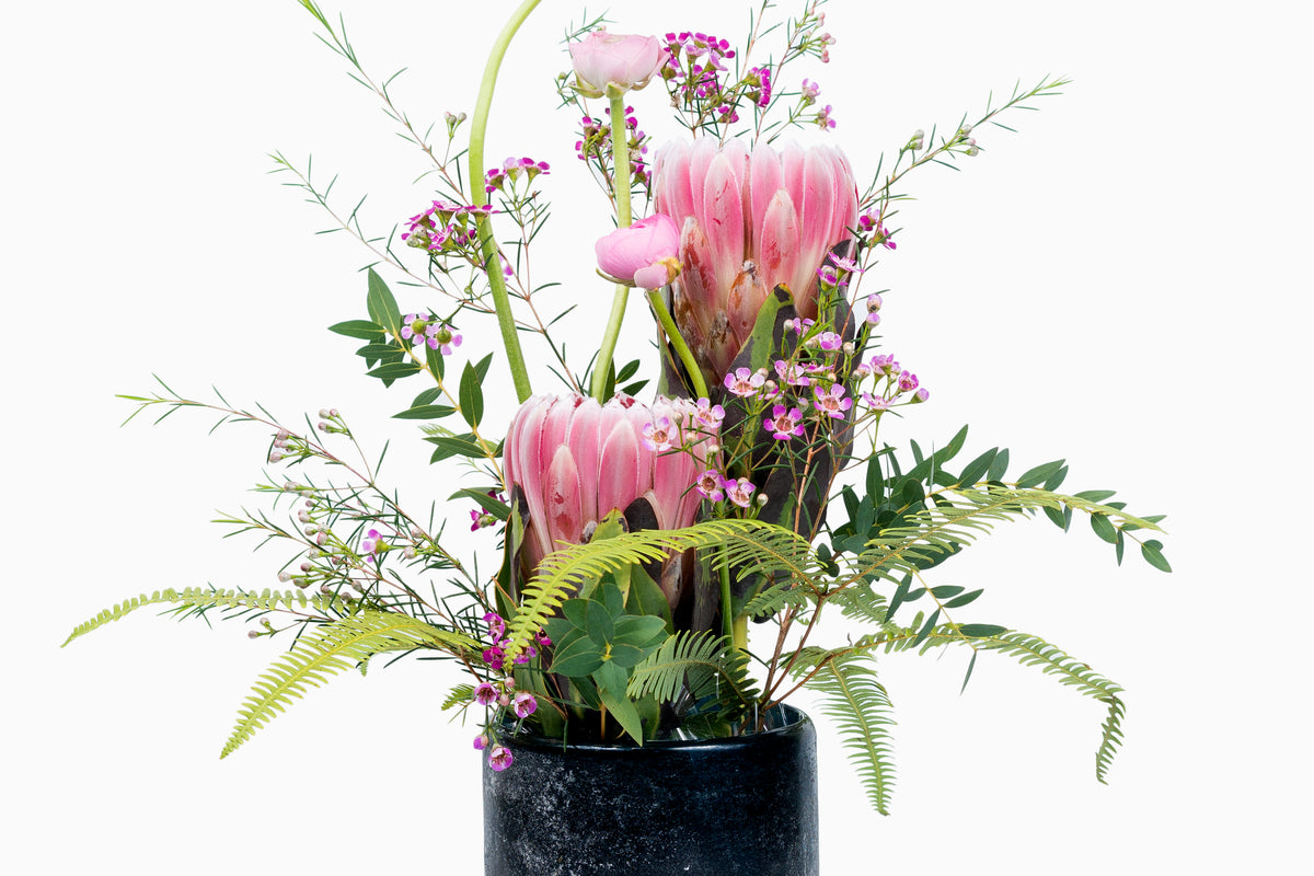 Composición Proteas