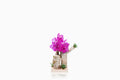 Tronco orquídea