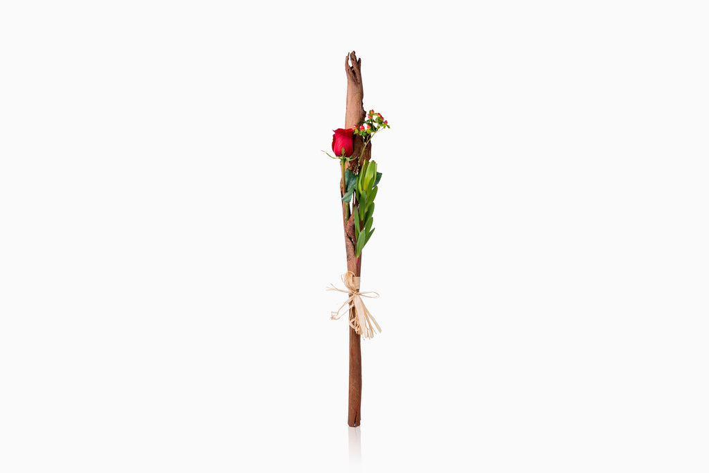 Rosa Roja en Corteza de Eucaliptus