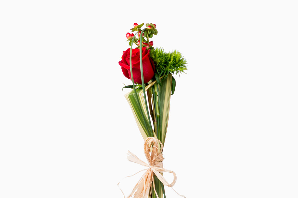 Rosa Roja con hoja de Phornium
